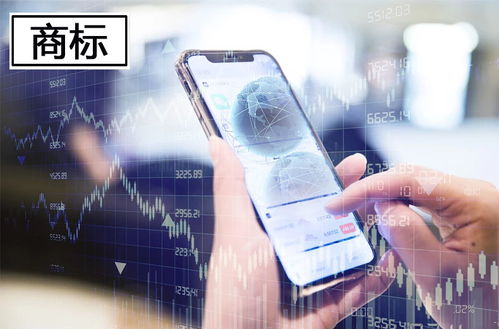 匯桔網(wǎng)手機(jī)應(yīng)用開發(fā)商標(biāo)使用的證明資料詳解